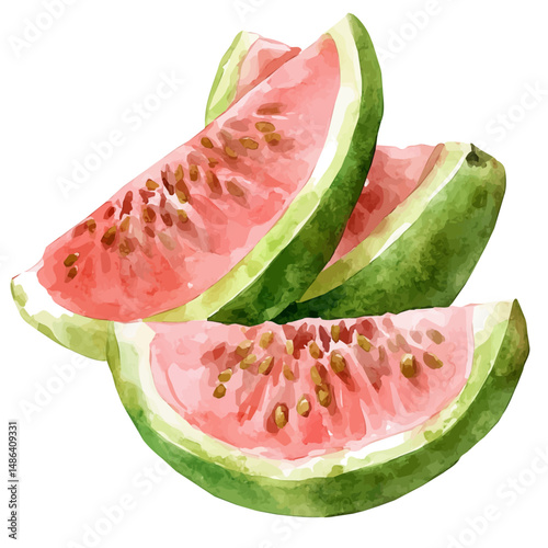 Guava Sliced Into Wedges, watercolor illustration vector, high quality, isolated on a white background.
