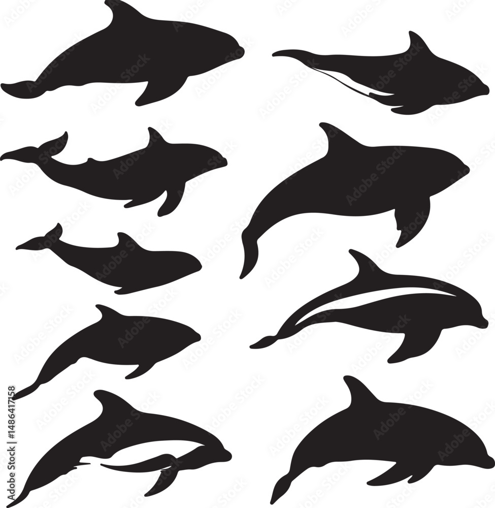 Fototapeta Dolphin Silhouettes Vector: Marine Mammals, Ocean Wildlife Art Graphic
