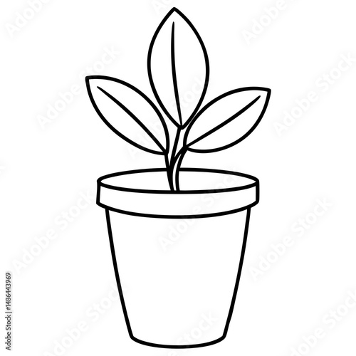 Simple potted plant vector illustration for home design and gardening projects