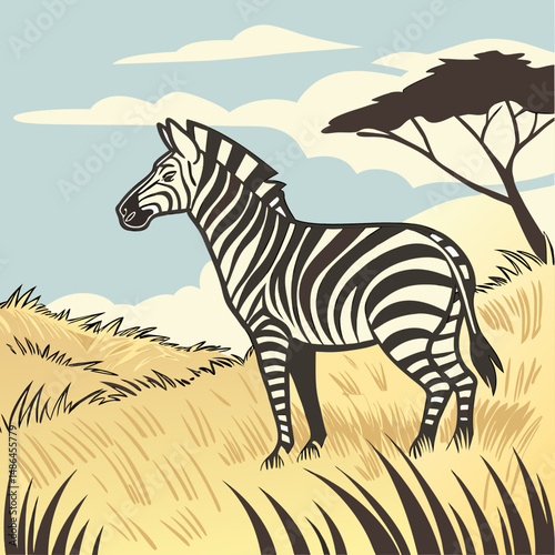 zebra in the grass