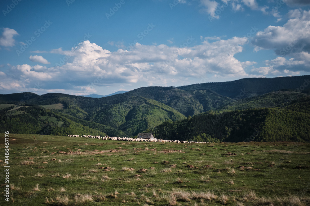 Fototapeta premium Serene landscape photo of sheep grazing on a grassy hill with a small house and majestic mountains in the background under a partly cloudy sky.