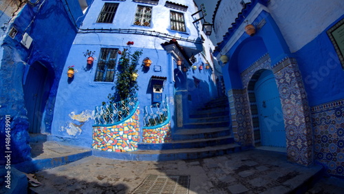 Plants growing along a blue wall at the entrance to a house in the medina, in Chefchaouen, Morocco, taken with a fisheye lens