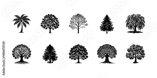 Tree Silhouette Vector Bundle – Black Tree Shapes Collection.