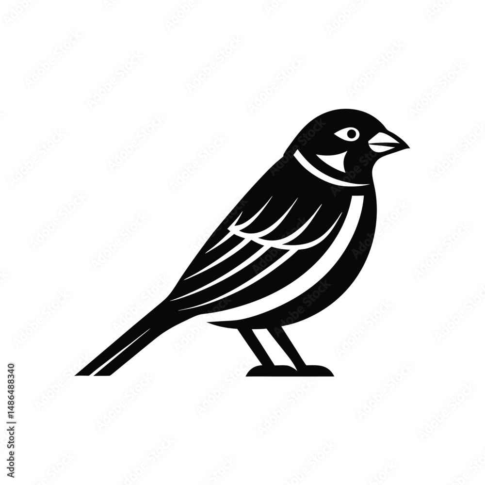Fototapeta premium Elegant black and white bird illustration