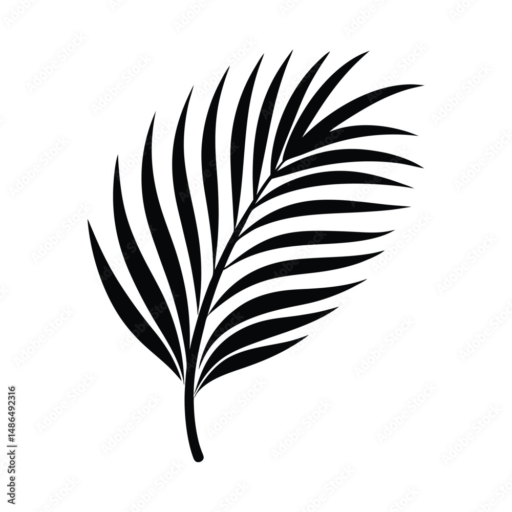Obraz premium Single black palm leaf tropical summer design