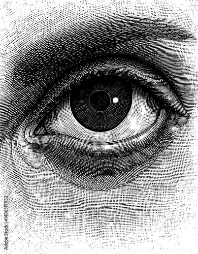 Human Eye in Meticulous Stippled Style Gazing Intensely Representing Vision and Anatomy against Plain Background