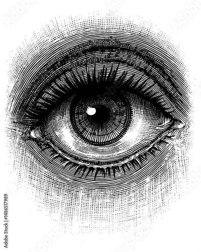 Close-up black and white vintage illustration of a human eye, rendered in a stippled style.