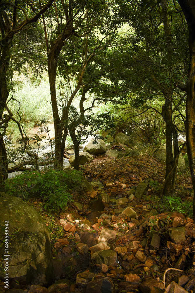 Fototapeta premium Uma Oya River, Bomburu Ella Waterfall, Galpalama, Nuwara Eliya, Sri Lanka.
