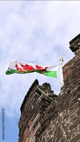 vertical video of The national  flag of Wales, known as Y Ddraig Goch the Red Dragon, flying in the breeze