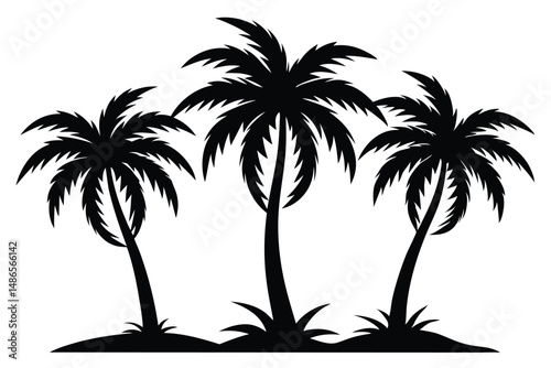 Three isolated black palm trees are growing on tropical sandy land in silhouette
