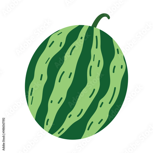 Whole watermelon. Green round fruit with stripe texture. Healthy summer food.