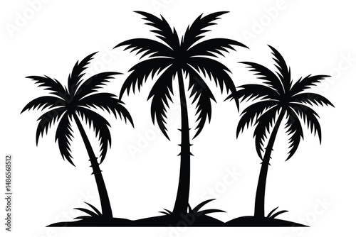 Three palm trees are casting deep black silhouettes near the ground perfectly