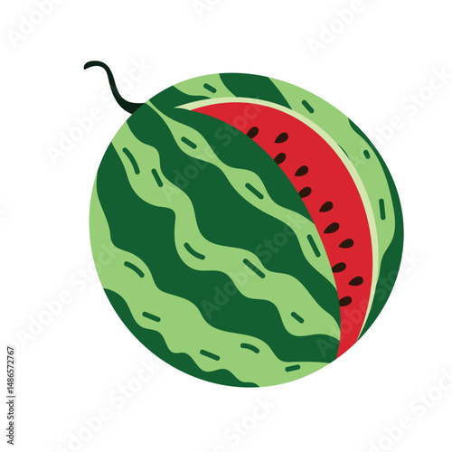 Watermelon with green striped skin and red juicy part inside. Decorative summer fruit with seeds and curly stem, isolated on white background. Simple clean illustration.