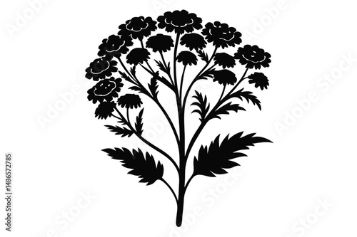 Monochrome plant silhouette exhibits lush floral blooms with delicate leaves springing forth from slender stems