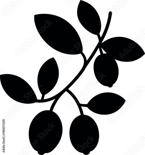 Barberries silhouette on transparent background 