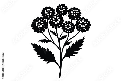 Black and white flower stem features clustered blooms and finely detailed leaves