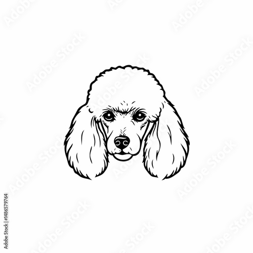 Poodle face vector illustration. Pet month, adoption fair, care and love for animals. Vet clinics, grooming salon, dog food. Types of breed