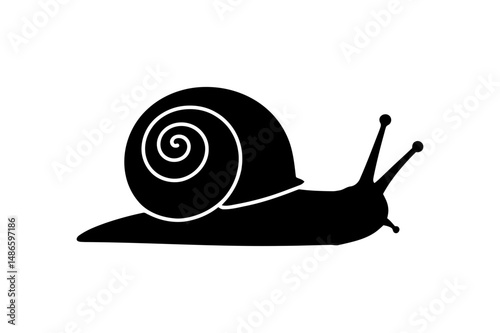 Snail silhouette vector graphic mollusk gastropod