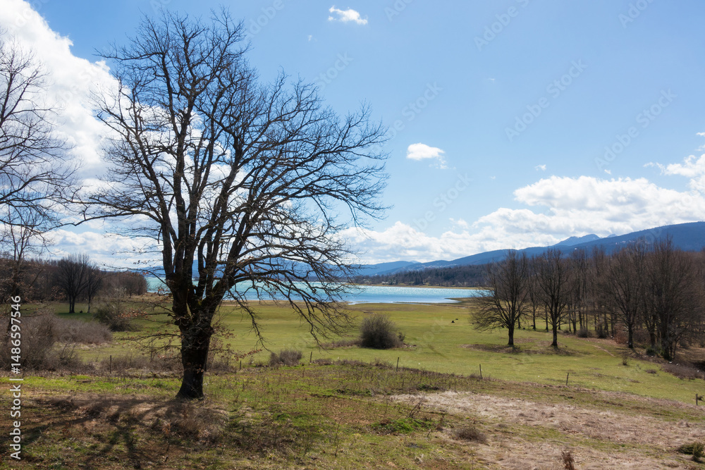 Obraz premium Wonderful scenery around the artificial Plastira lake, Karditsa, Greece