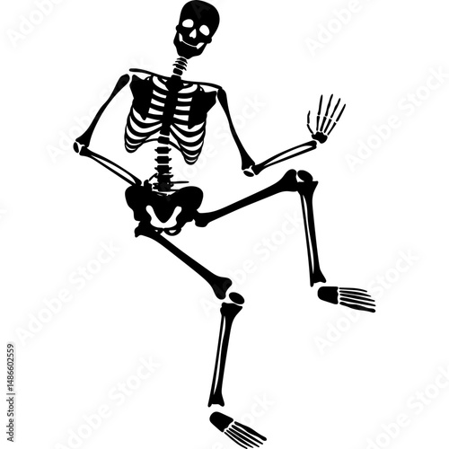 human skull vector illustration