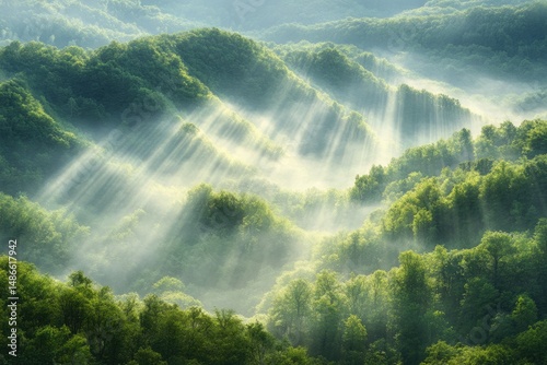 Sunbeams piercing a misty mountain valley, lush green forests