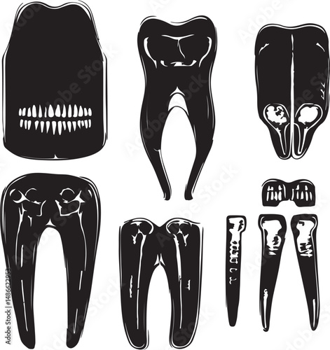 Black and White Hand-Drawn Human Teeth Illustrations