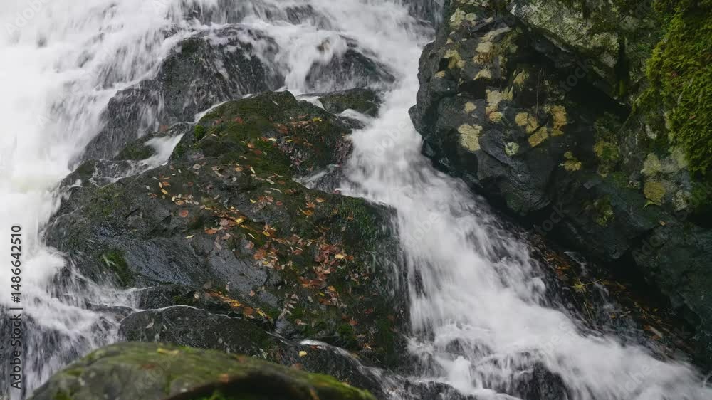 Aerial views of the spectacular Belye Mosty Waterfall in Karelia, Russia, with colorful autumn trees and rugged cliffs creating a majestic natural scene. Aerial views of the spectacular Belye Mosty Waterfall in Karelia, Russia, with colorful autumn trees and rugged cliffs creating a majestic natural scene.