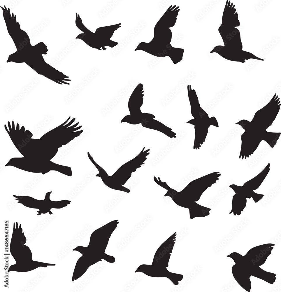 Obraz premium Silhouetted Birds in Flight: Black Vector Illustration on White