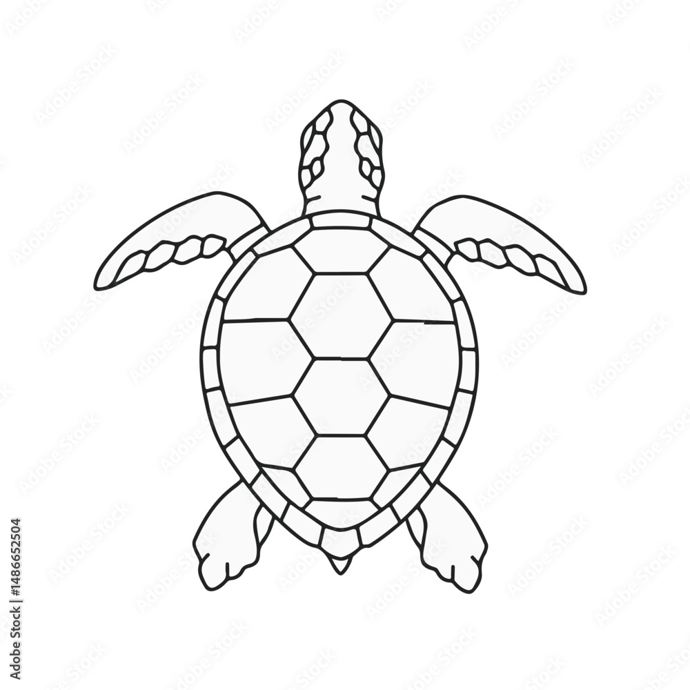 Obraz premium Line drawing of a sea turtle viewed from above. The turtle features a patterned shell, flippers and head detail. Simple and minimalist design.