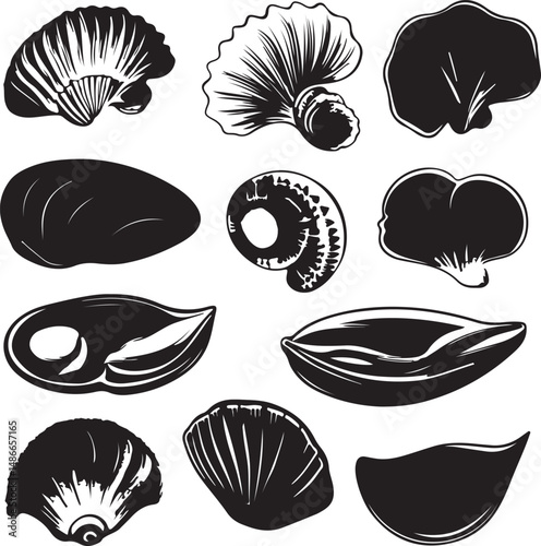 Black and White Seashell Silhouettes: Vector Art, Ocean Clamshells