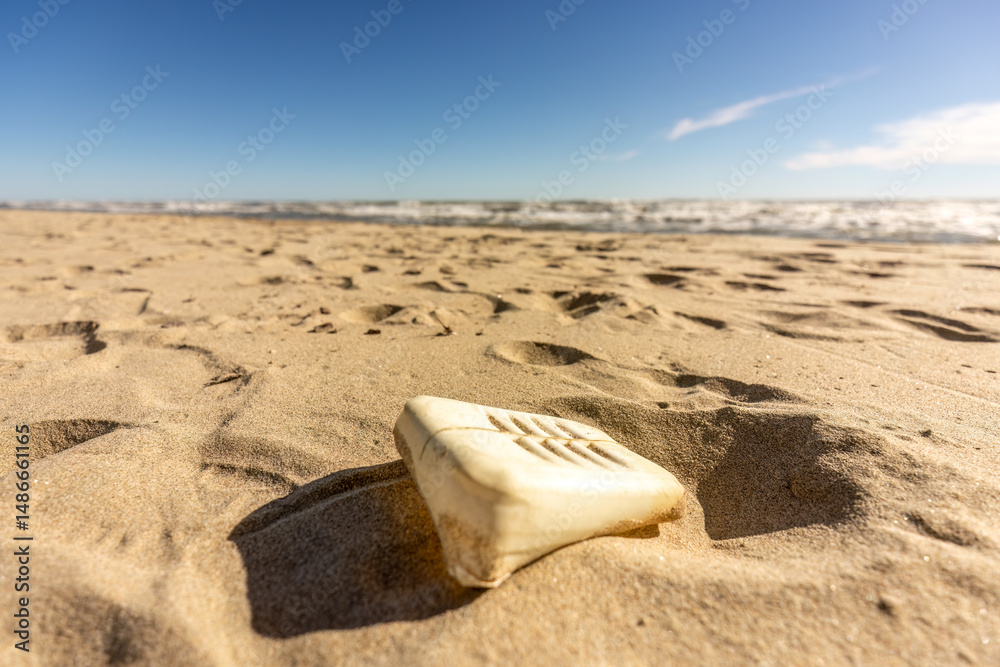 Obraz premium Polliution of the environment: Left behind garbage at a beach in france