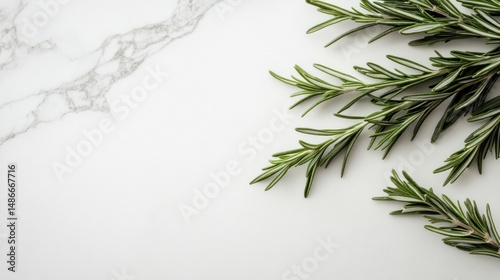 Fresh rosemary sprigs on marble background culinary herb food ingredient and aromatic plant