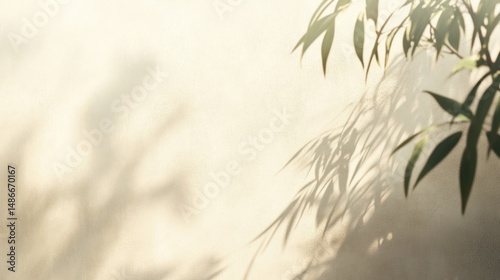 Abstract leaf shadows on textured wall neutral background