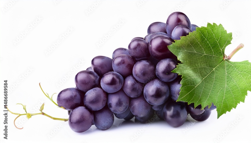 Fototapeta premium fresh juicy dark purple grape cluster with green leaf isolated on white background