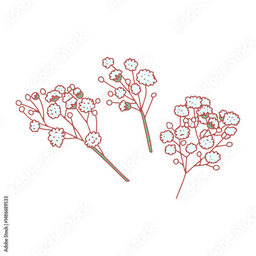 Hand drawn line art white babys breath flowers isolated on white background. Botanical vector illustration