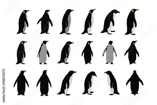 Penguin Vector Illustration Set | Arctic Animal Clipart for Wildlife & Nature Designs .

