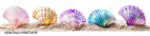 Colorful seashells resting on the sand