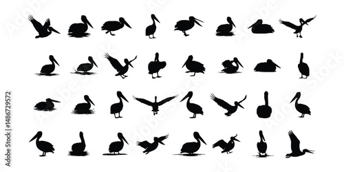 Pelican Silhouette Vector Set in Flying, Standing, and Nesting Poses .

