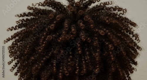 Intricate patterns of tightly coiled natural hair create mesmerizing texture