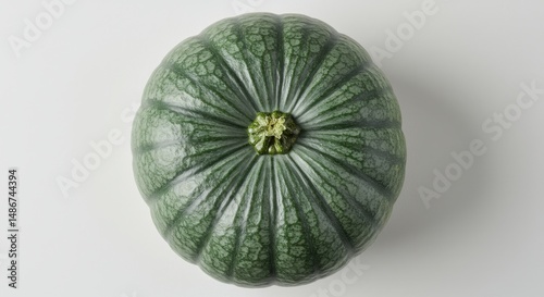 Isolated green hubbard squash against a neutral background displaying unique textures