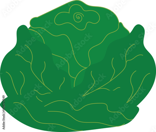 Vector illustration of lettuce in a decorative style. Perfect for graphic design, healthy food themes, farming, natural products, and digital content.