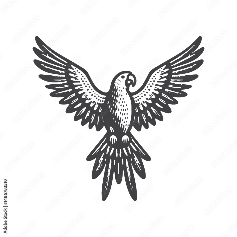 Obraz premium Vintage Hand-Drawn Parrot with Wings Spread Illustration – Tropical Exotic Bird Engraved Style Vector for T-Shirts, Posters, Stickers, and Nature Themes Apparel