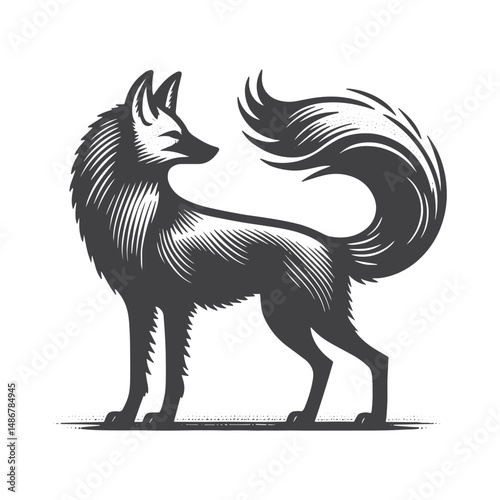 Vintage Hand-Drawn Maned Wolf with Bushy Tail Illustration – Wild Canine Engraved Style Vector for T-Shirts, Posters, Stickers, and Nature Themes Apparel