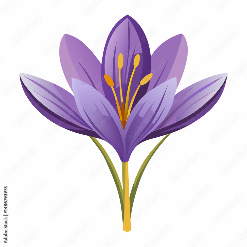 Naklejka premium Safran Flower Vector White Transparent Background 