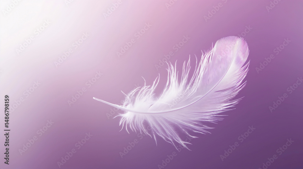 Obraz premium White Feather Floating on Pale Lavender Gradient Background