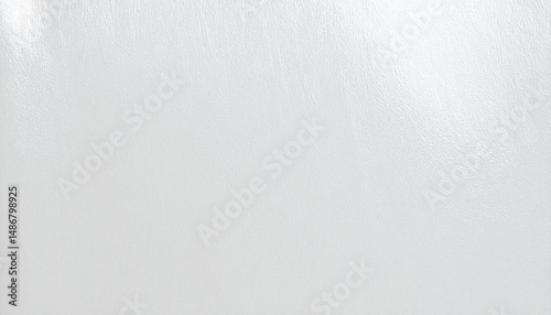 Semi-Transparent White Plastic Bag Background with Subtle Gloss
半透明の白いビニール袋素材のやさしい光沢背景