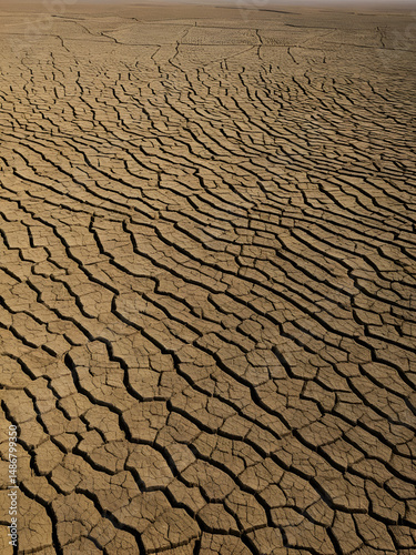 The parched fields
