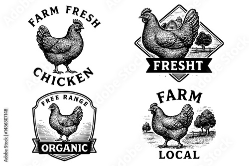 Vintage collection of engraved farm fresh chicken logos showcasing organic and local designs with a rustic appeal