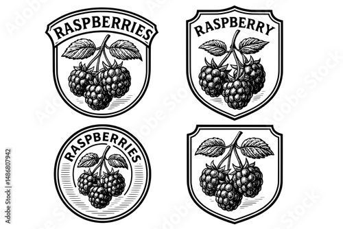 Vintage engraved illustration showcasing beautiful raspberry emblems in a unique logo design for a classic collection