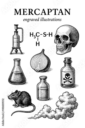 still life with a microscope